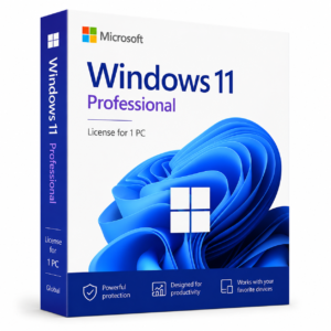 Microsoft Windows 11 Professional